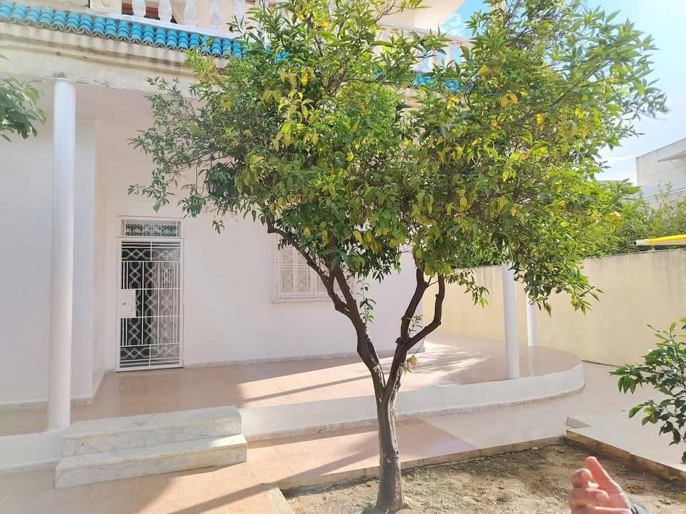 Maison rdc s+3 [ r+2 ] la marsa